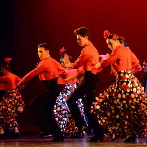 Fotografía de Talleres Baile Flamenco - Conservatorio de Danza
