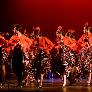 Fotografía de Talleres Baile Flamenco - Conservatorio de Danza