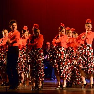 Fotografía de Talleres Baile Flamenco - Conservatorio de Danza