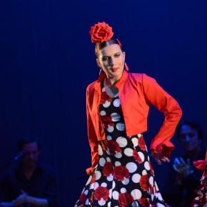 Fotografía de Talleres Baile Flamenco - Conservatorio de Danza