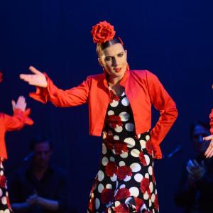 Fotografía de Talleres Baile Flamenco - Conservatorio de Danza