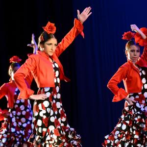 Fotografía de Talleres Baile Flamenco - Conservatorio de Danza