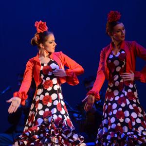 Fotografía de Talleres Baile Flamenco - Conservatorio de Danza