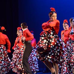 Fotografía de Talleres Baile Flamenco - Conservatorio de Danza