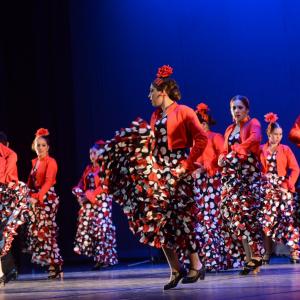 Fotografía de Talleres Baile Flamenco - Conservatorio de Danza