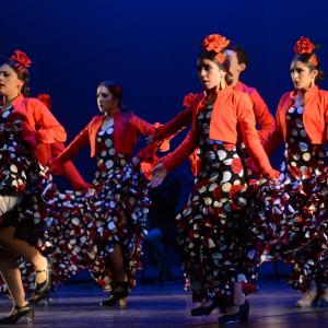 Fotografía de Talleres Baile Flamenco - Conservatorio de Danza