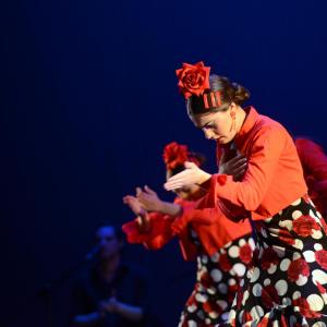 Fotografía de Talleres Baile Flamenco - Conservatorio de Danza