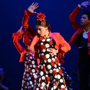 Fotografía de Talleres Baile Flamenco - Conservatorio de Danza