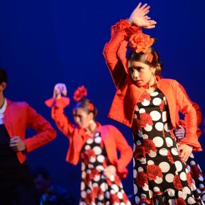 Fotografía de Talleres Baile Flamenco - Conservatorio de Danza