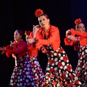 Fotografía de Talleres Baile Flamenco - Conservatorio de Danza