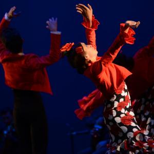 Fotografía de Talleres Baile Flamenco - Conservatorio de Danza