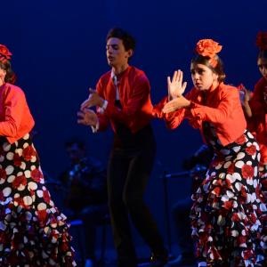 Fotografía de Talleres Baile Flamenco - Conservatorio de Danza