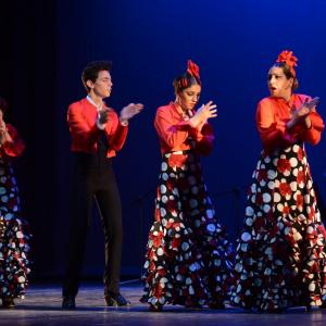 Fotografía de Talleres Baile Flamenco - Conservatorio de Danza