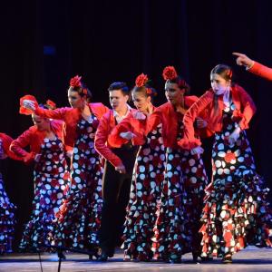 Fotografía de Talleres Baile Flamenco - Conservatorio de Danza