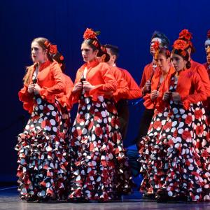 Fotografía de Talleres Baile Flamenco - Conservatorio de Danza
