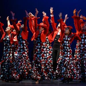 Fotografía de Talleres Baile Flamenco - Conservatorio de Danza