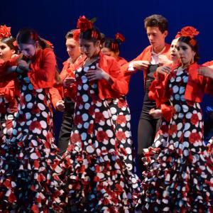 Fotografía de Talleres Baile Flamenco - Conservatorio de Danza