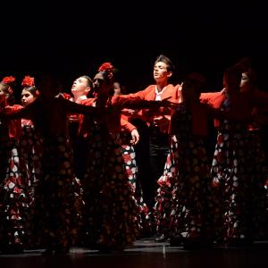 Fotografía de Talleres Baile Flamenco - Conservatorio de Danza