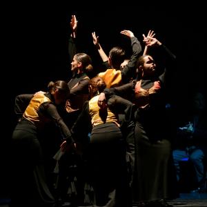 Fotografía de Talleres Baile Flamenco - Conservatorio de Danza