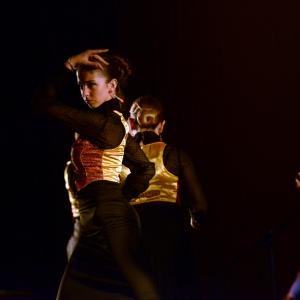 Fotografía de Talleres Baile Flamenco - Conservatorio de Danza