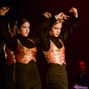 Fotografía de Talleres Baile Flamenco - Conservatorio de Danza