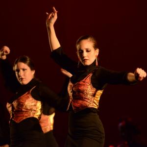 Fotografía de Talleres Baile Flamenco - Conservatorio de Danza