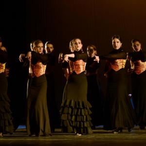 Fotografía de Talleres Baile Flamenco - Conservatorio de Danza