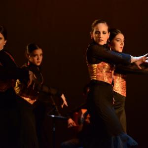 Fotografía de Talleres Baile Flamenco - Conservatorio de Danza