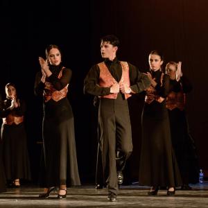 Fotografía de Talleres Baile Flamenco - Conservatorio de Danza