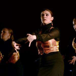 Fotografía de Talleres Baile Flamenco - Conservatorio de Danza