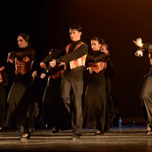 Fotografía de Talleres Baile Flamenco - Conservatorio de Danza