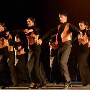 Fotografía de Talleres Baile Flamenco - Conservatorio de Danza