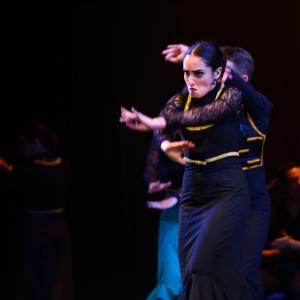 Fotografía de Talleres Baile Flamenco - Conservatorio de Danza