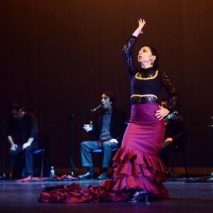 Fotografía de Talleres Baile Flamenco - Conservatorio de Danza