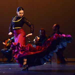 Fotografía de Talleres Baile Flamenco - Conservatorio de Danza