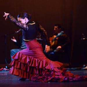 Fotografía de Talleres Baile Flamenco - Conservatorio de Danza