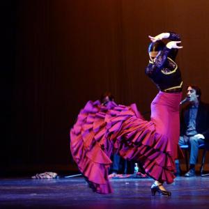 Fotografía de Talleres Baile Flamenco - Conservatorio de Danza