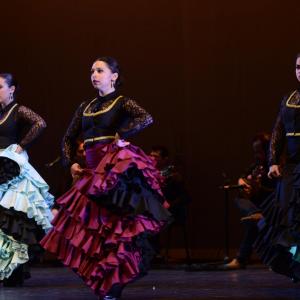 Fotografía de Talleres Baile Flamenco - Conservatorio de Danza