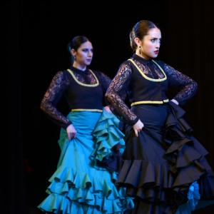 Fotografía de Talleres Baile Flamenco - Conservatorio de Danza