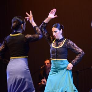 Fotografía de Talleres Baile Flamenco - Conservatorio de Danza