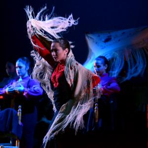 Fotografía de Talleres Baile Flamenco - Conservatorio de Danza