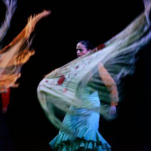 Fotografía de Talleres Baile Flamenco - Conservatorio de Danza
