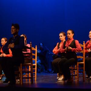Fotografía de Talleres Baile Flamenco - Conservatorio de Danza