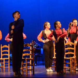 Fotografía de Talleres Baile Flamenco - Conservatorio de Danza