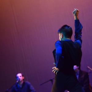 Fotografía de Talleres Baile Flamenco - Conservatorio de Danza