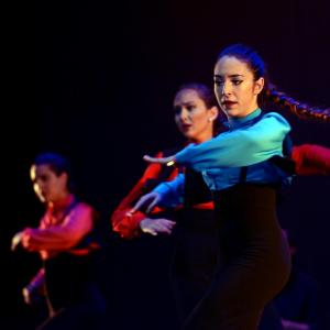 Fotografía de Talleres Baile Flamenco - Conservatorio de Danza