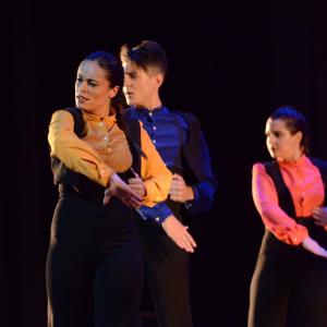 Fotografía de Talleres Baile Flamenco - Conservatorio de Danza