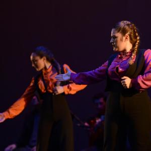 Fotografía de Talleres Baile Flamenco - Conservatorio de Danza