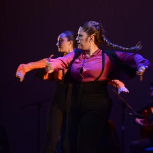 Fotografía de Talleres Baile Flamenco - Conservatorio de Danza
