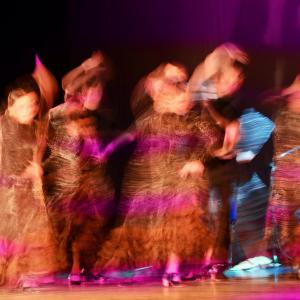 Fotografía de Talleres Baile Flamenco - Conservatorio de Danza